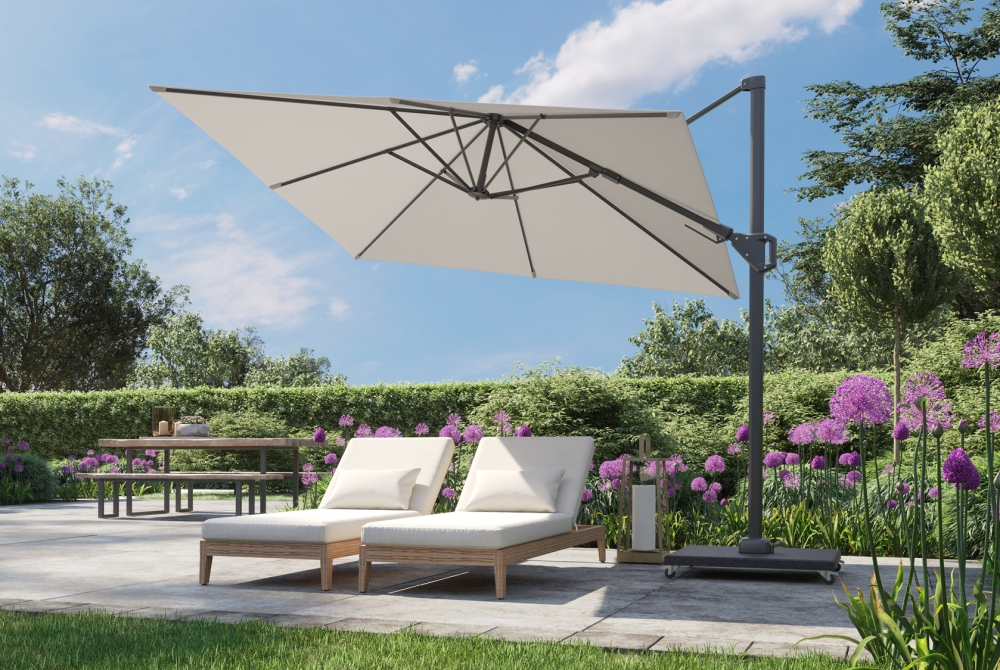 Parasol